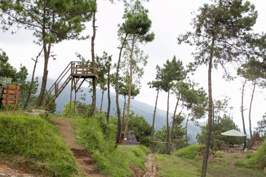 Papandayan Camping Ground Hotel Cileuleuy Екстериор снимка