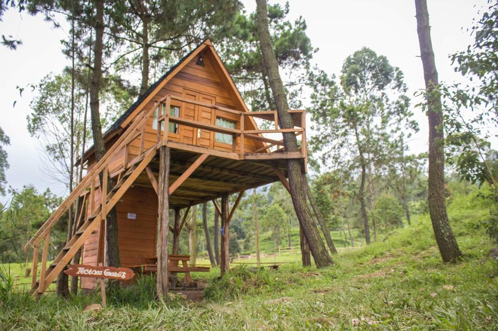 Papandayan Camping Ground Hotel Cileuleuy Екстериор снимка
