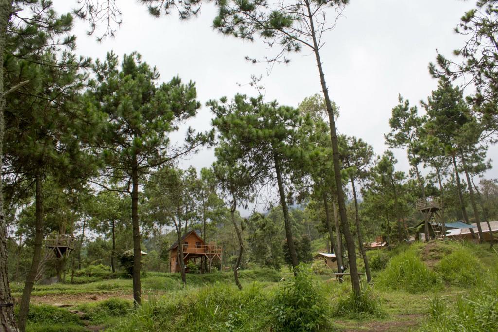 Papandayan Camping Ground Hotel Cileuleuy Екстериор снимка